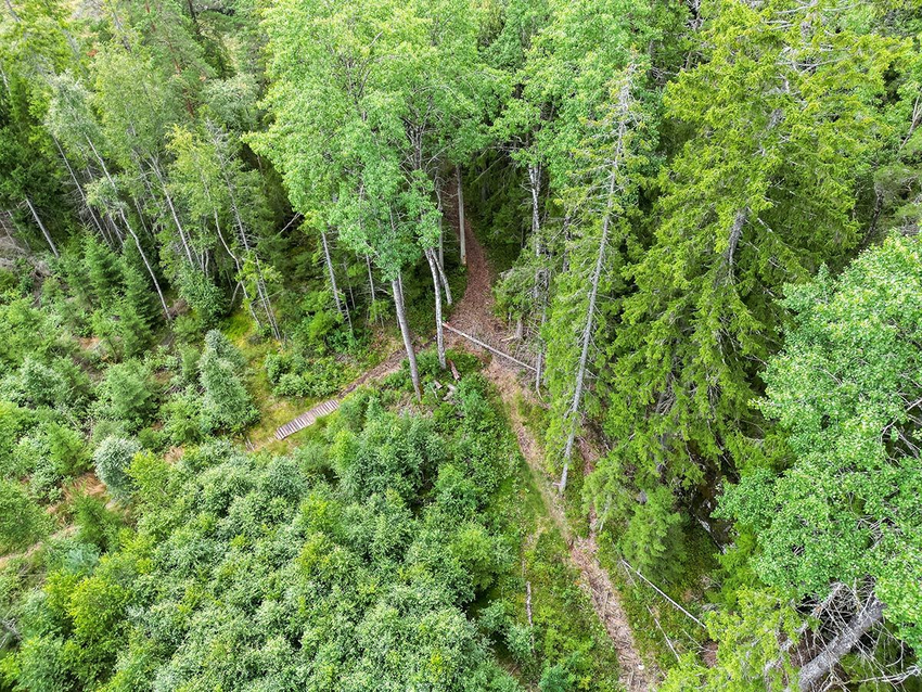 Foto av en sti som deler seg